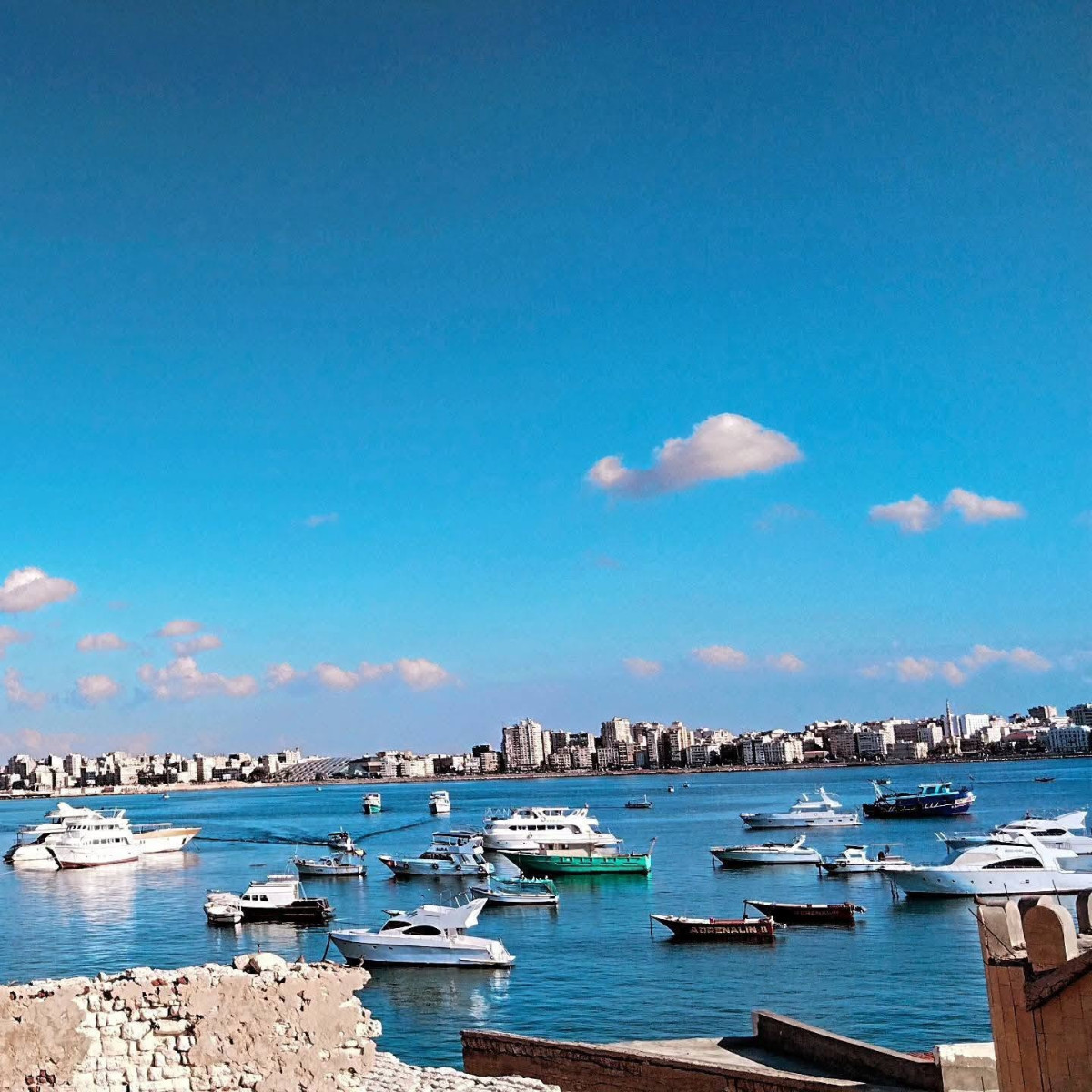 ALEXANDRIA DAY TOUR