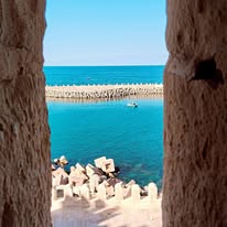 Alexandria Day Trip