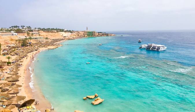 اليوم 3 — تجربة مميزة